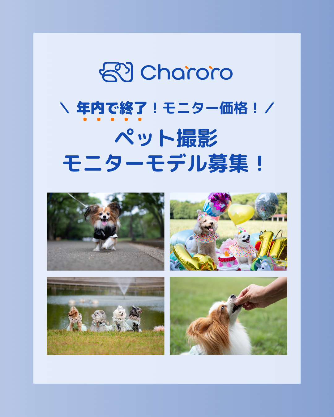 年内で終了!モニター価格!ペット撮影モニターモデル募集!