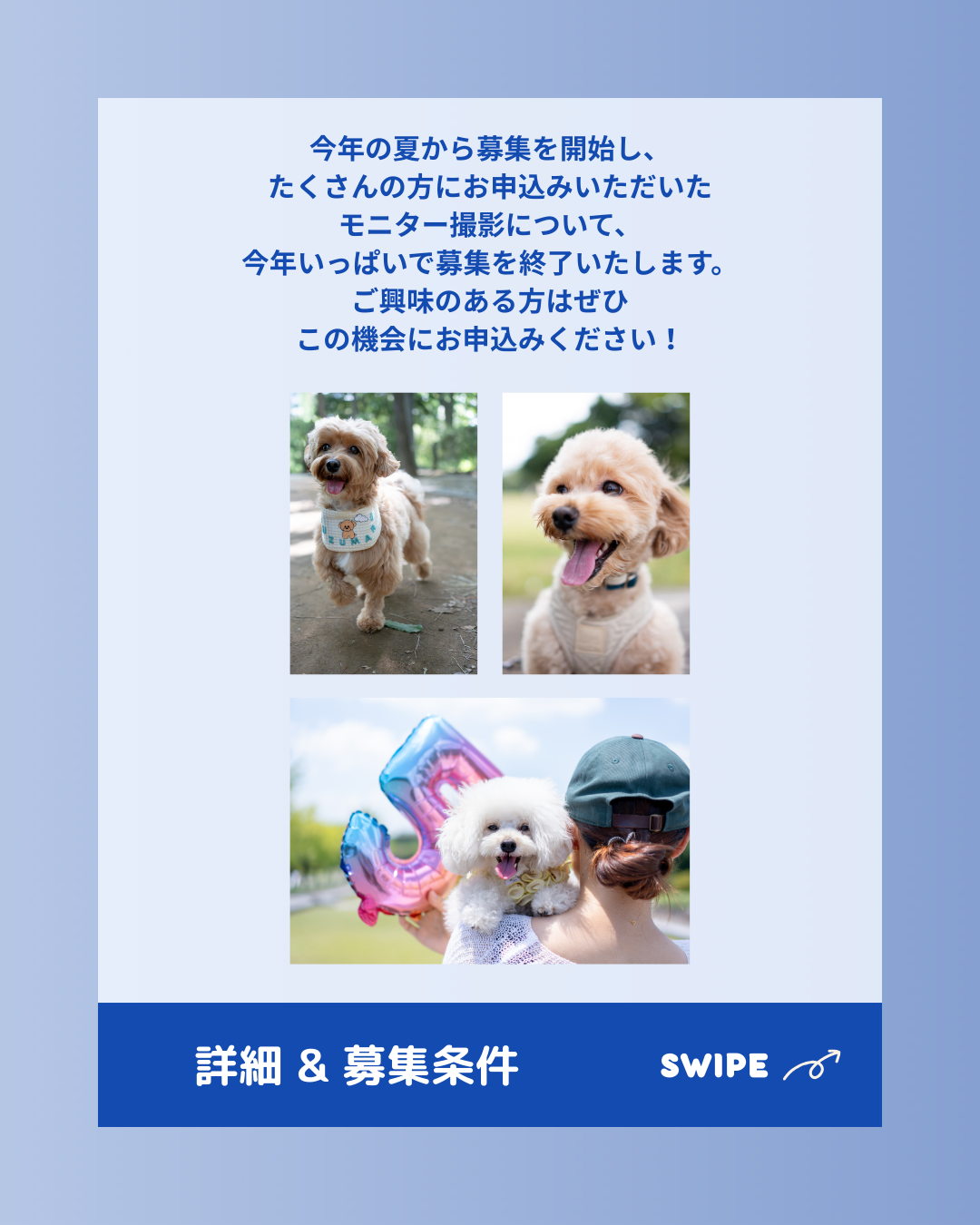 今年の夏から募集を開始し、たくさんの方にお申込みいただいたモニター撮影について、今年いっぱいで募集を終了いたします。ご興味のある方はぜひこの機会にお申込みください!