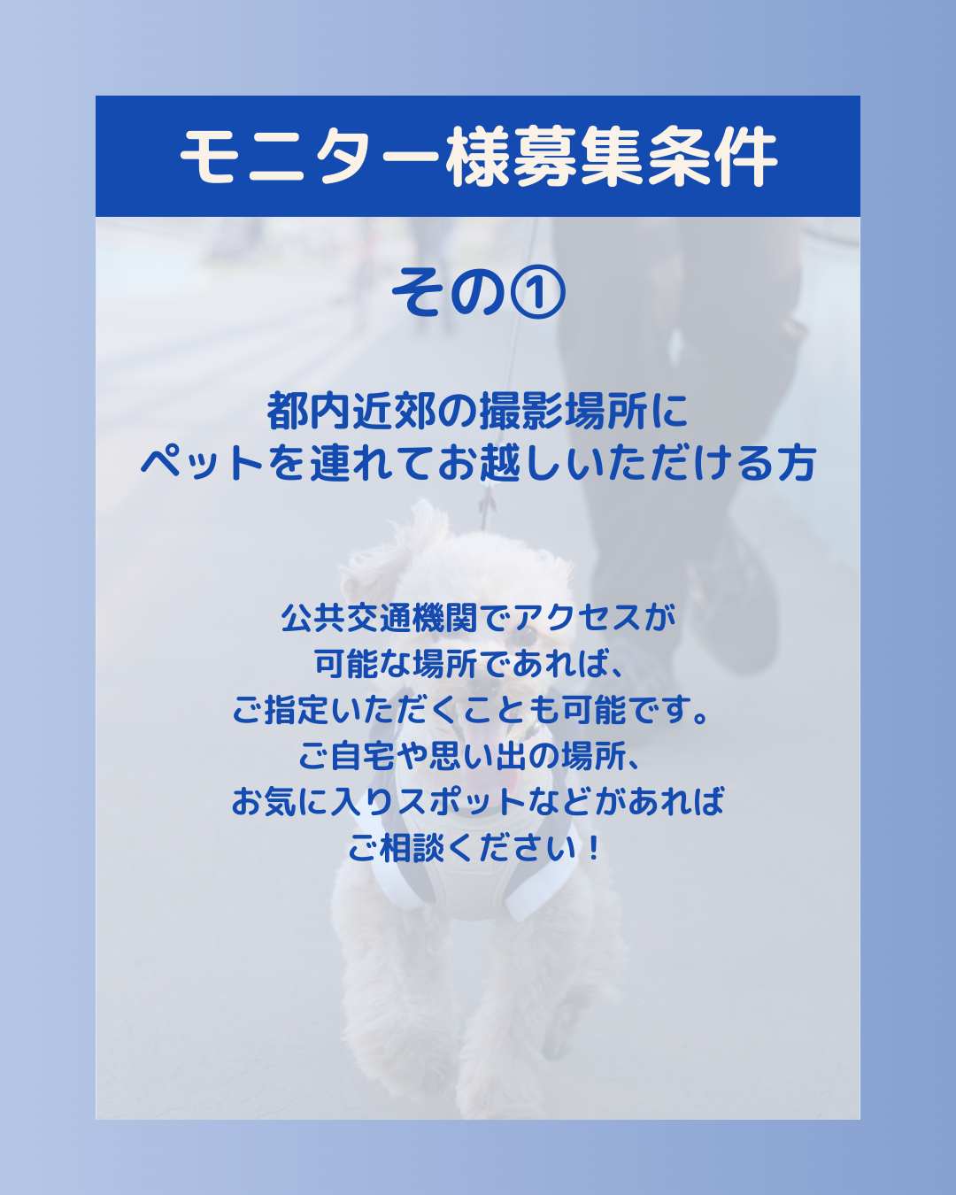 モニター様募集条件 その① 都内近郊の撮影場所にペットを連れてお越しいただける方