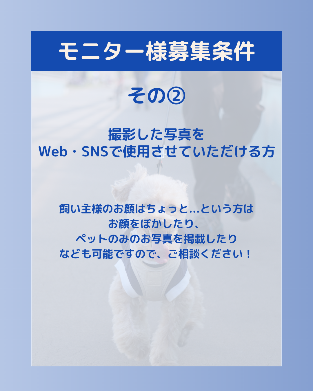 モニター様募集条件 その② 撮影した写真をWeb・SNSで使用させていただける方