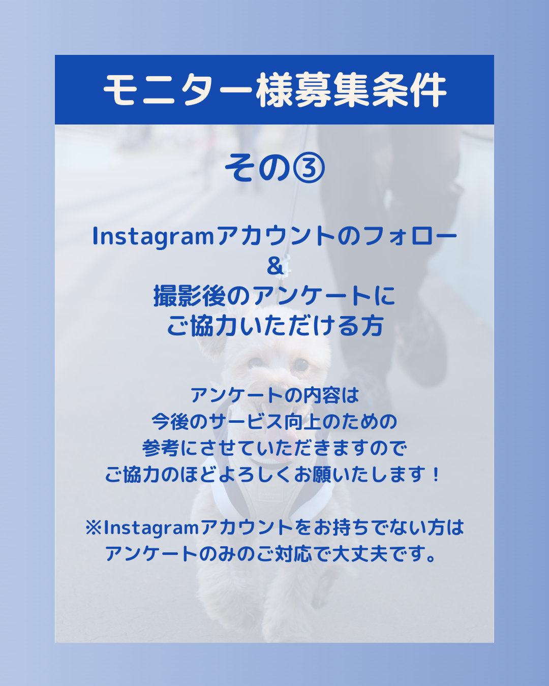 モニター様募集条件 その③ Instagramアカウントのフォロー& 撮影前後のアンケートにご協力いただける方